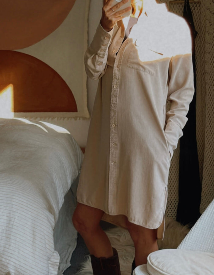 EQUIPMENT // Silk Shirt Dress // Blush // Small