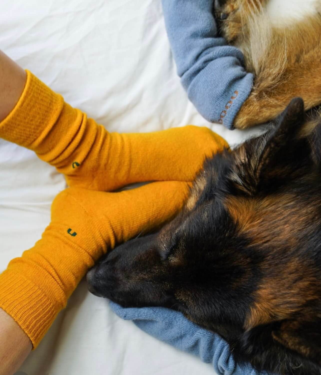 NOOAN Possum Merino Hamilton Socks - Golden Fusion