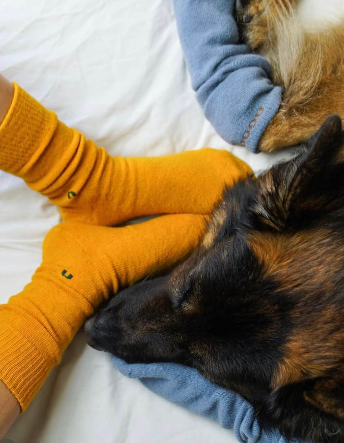 NOOAN Possum Merino Hamilton Socks - Golden Fusion